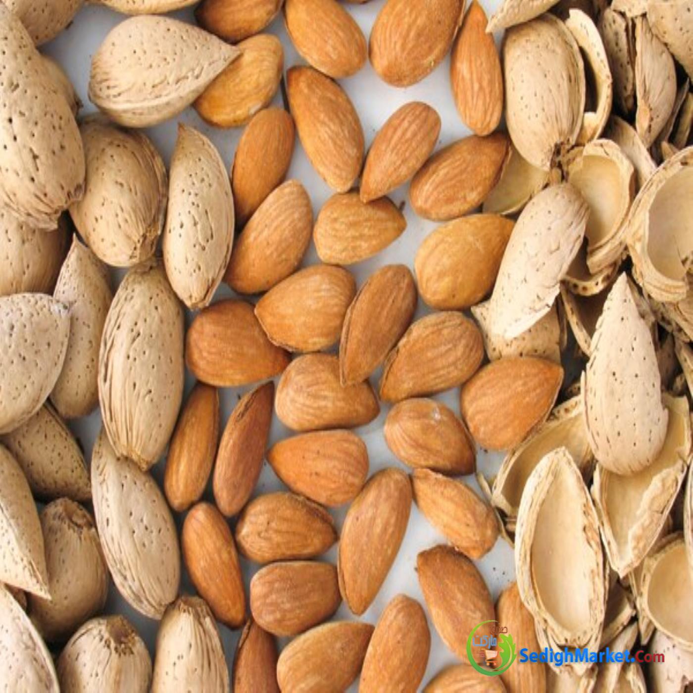 صدیق مارکت