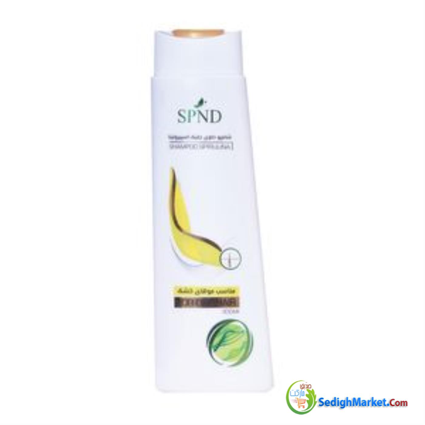 صدیق مارکت